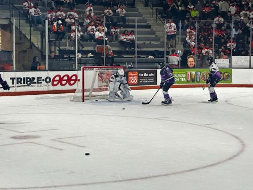 1e8a377287aa66704972f2f5d08ee62f