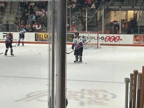 9490a52c1346f7d1dbc134a868d5d603